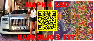 эйфоретик Гай